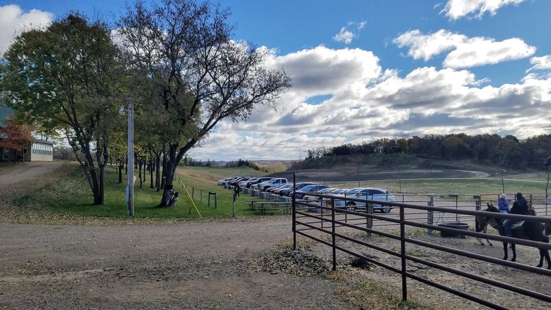 The Long Gravel Drive And First Impressions