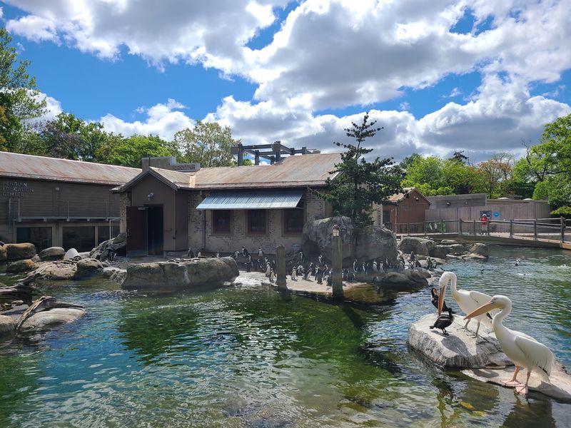The Maryland Zoo in Baltimore The Maryland Zoo in Baltimore