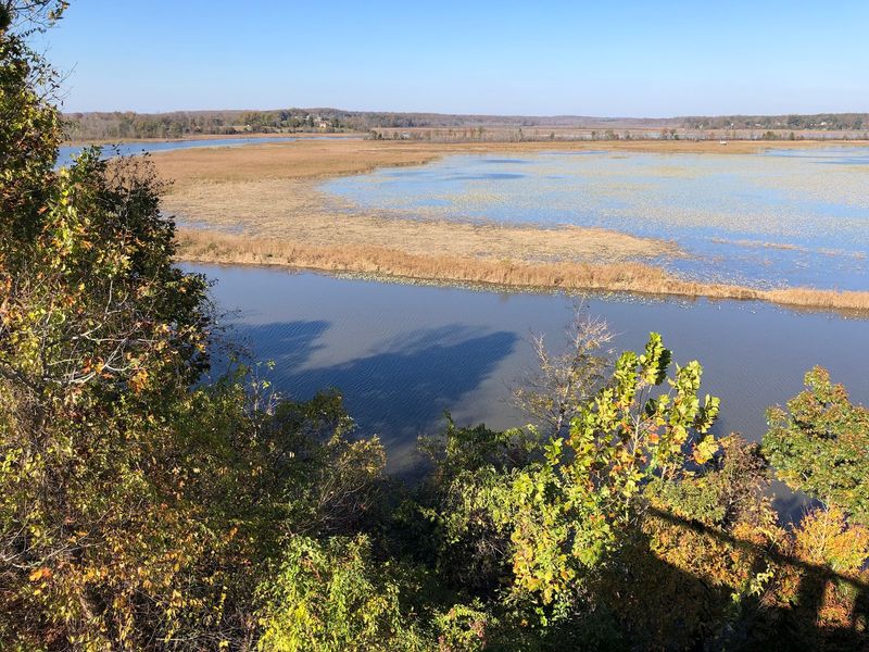 The McCann Wetland Study Center, Plummer House, and Observation Deck
