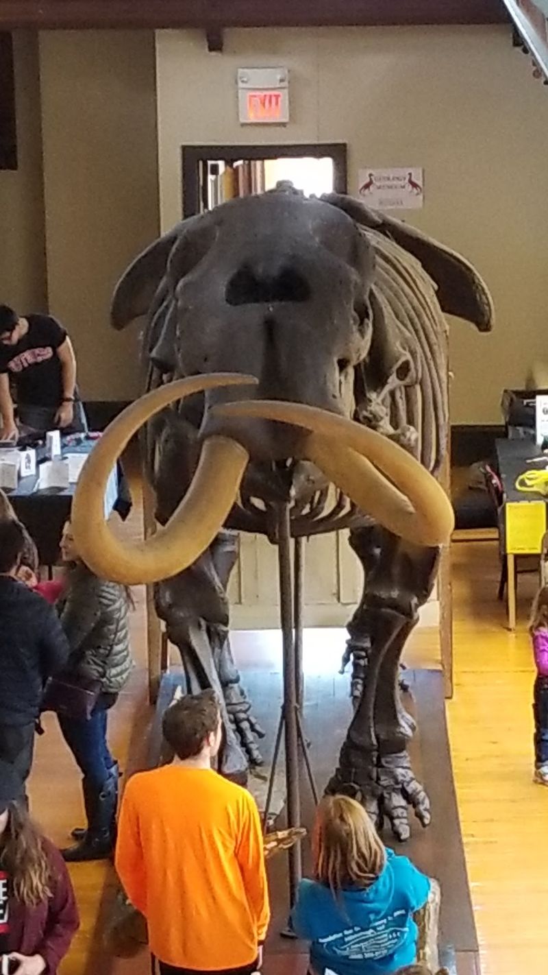 The Museum That Has It All for Free