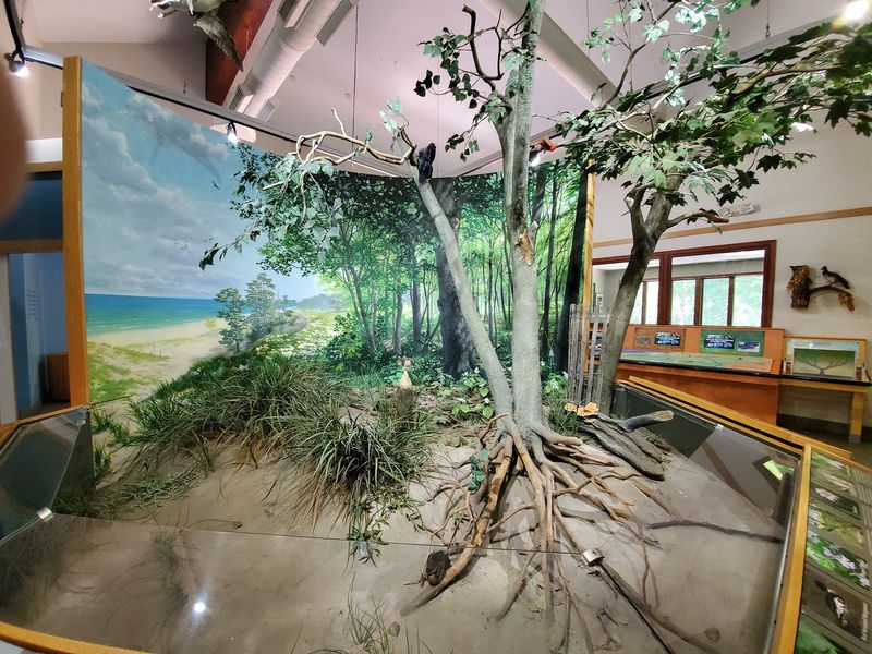 The Nature Center Holds More Pieces of the Ship