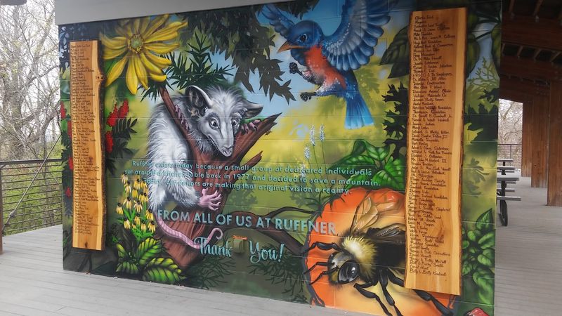 The Nature Center Is Honestly Worth the Stop on Its Own