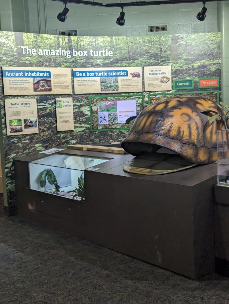 The Nature Center Makes Everything Click