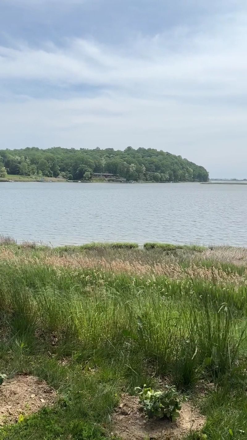 The Navesink River Views Behind the Estate The Navesink River Views Behind the Estate
