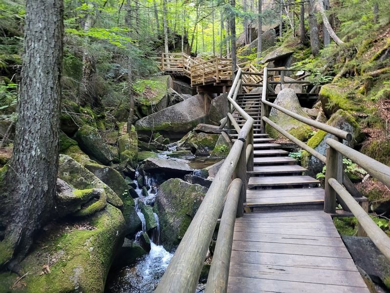 The One-Mile Boardwalk Trail That Goes Way Deeper Than You Expect The One-Mile Boardwalk Trail That Goes Way Deeper Than You Expect