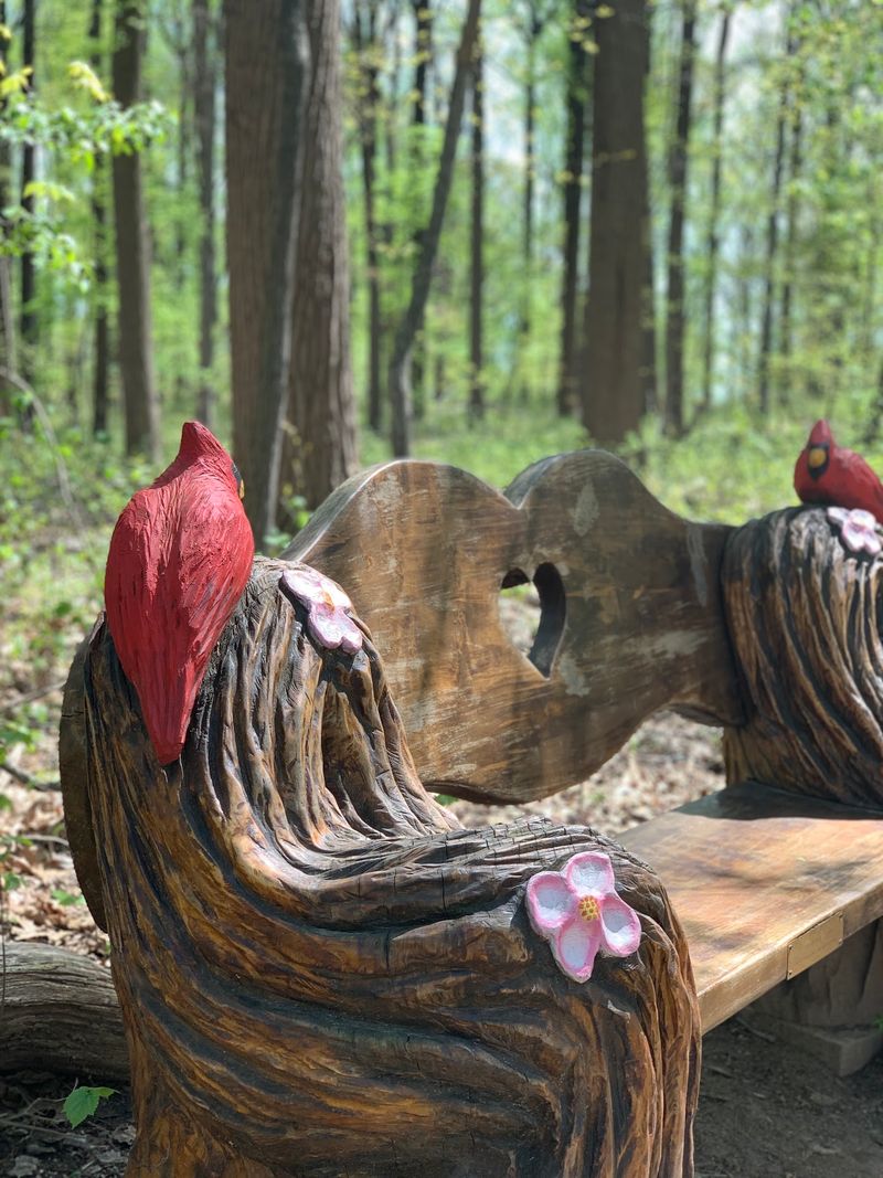 The Outdoor Nature Playspace for Families The Outdoor Nature Playspace for Families