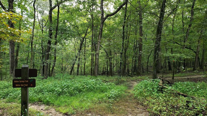 The Park Trails Above A Drowned Past
