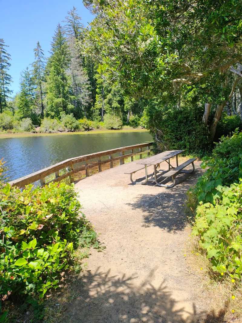 The Picnic Scene That Feels Like a Real Community