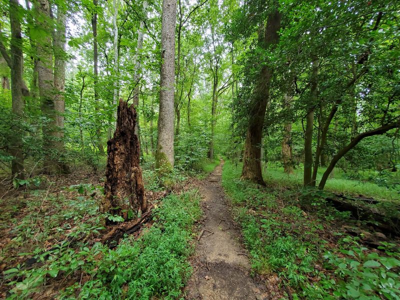 The Potomac River Trail, Easy Enough for Almost Everyone