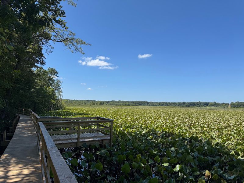 The Railroad Bed Trail and Its Long River Pier