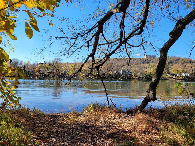 The Riverside Floodplain And Lagoon Detour