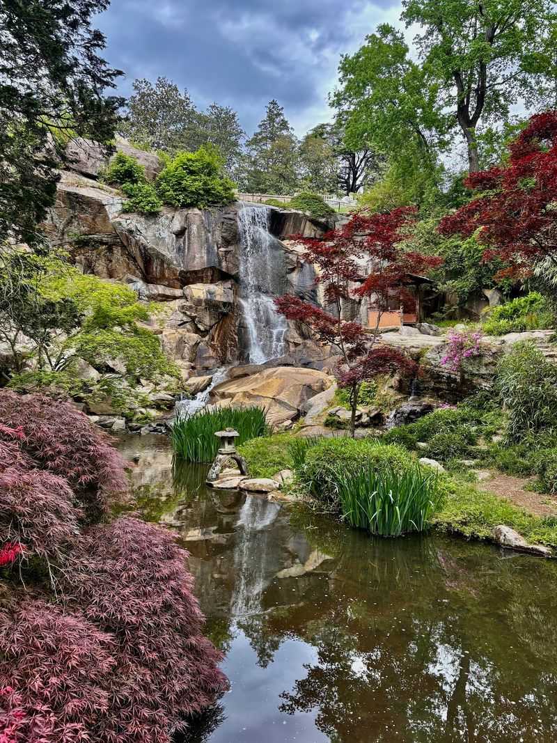 The Robins Nature Center and Its Spectacular Aquatic Universe