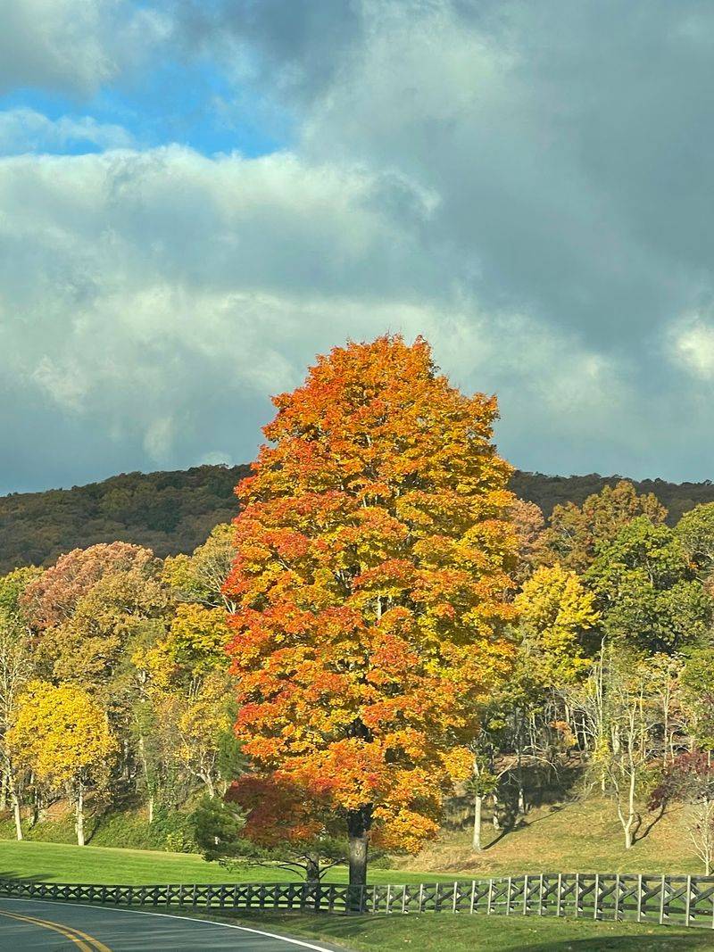 The Seasons Paint This Mountain in Bold Colors The Seasons Paint This Mountain in Bold Colors