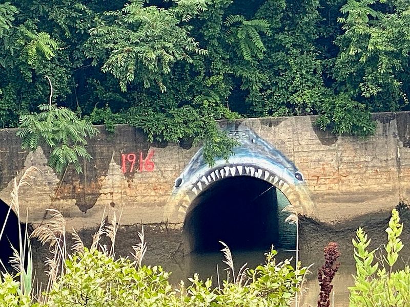 The Shark That Swam Inland