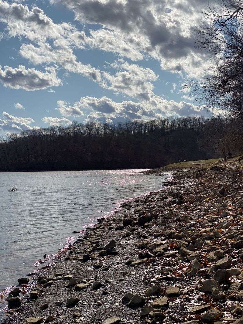 The Shoreline That Goes On and On The Shoreline That Goes On and On