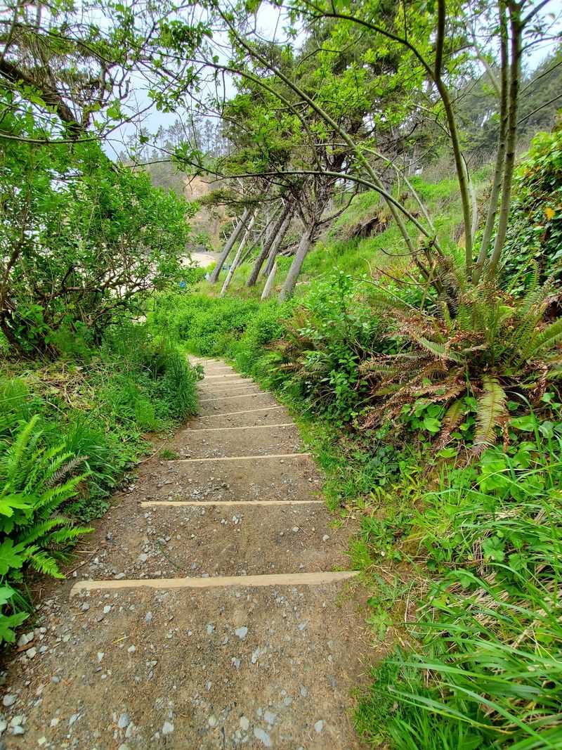 The Short, Steep Path That Guards the Shoreline The Short, Steep Path That Guards the Shoreline