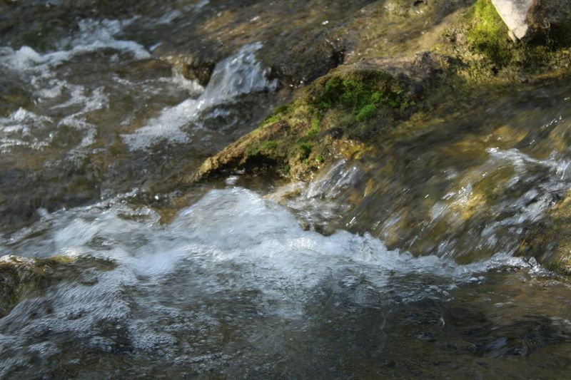 The Sound That Follows You Everywhere The Sound That Follows You Everywhere