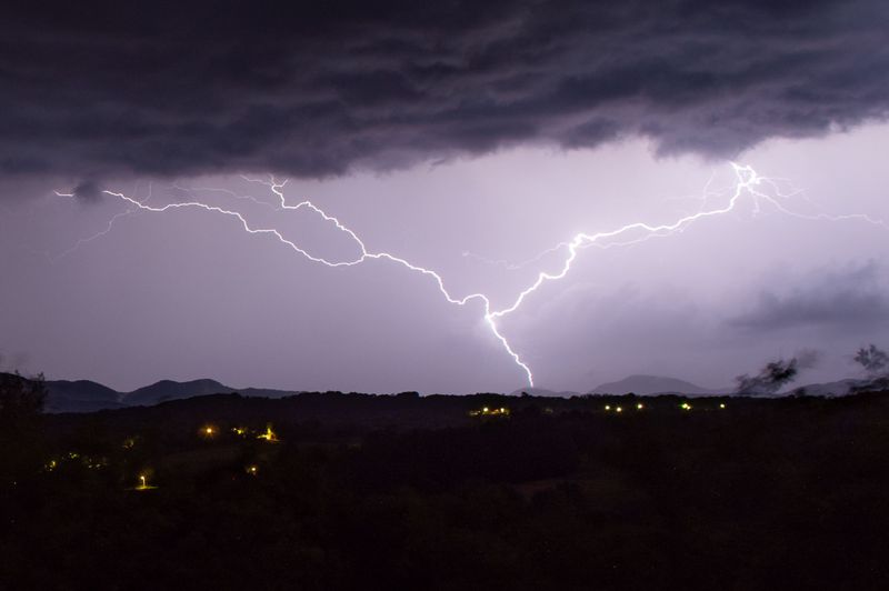 The Storm of June 2002 and the Day Maryland Lost Its State Tree