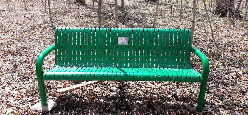The Stout Family Legacy and a Forest Saved Twice