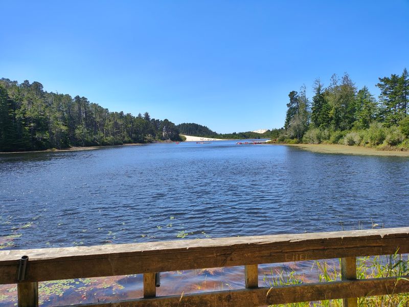The Surrounding Jessie M. Honeyman Memorial State Park