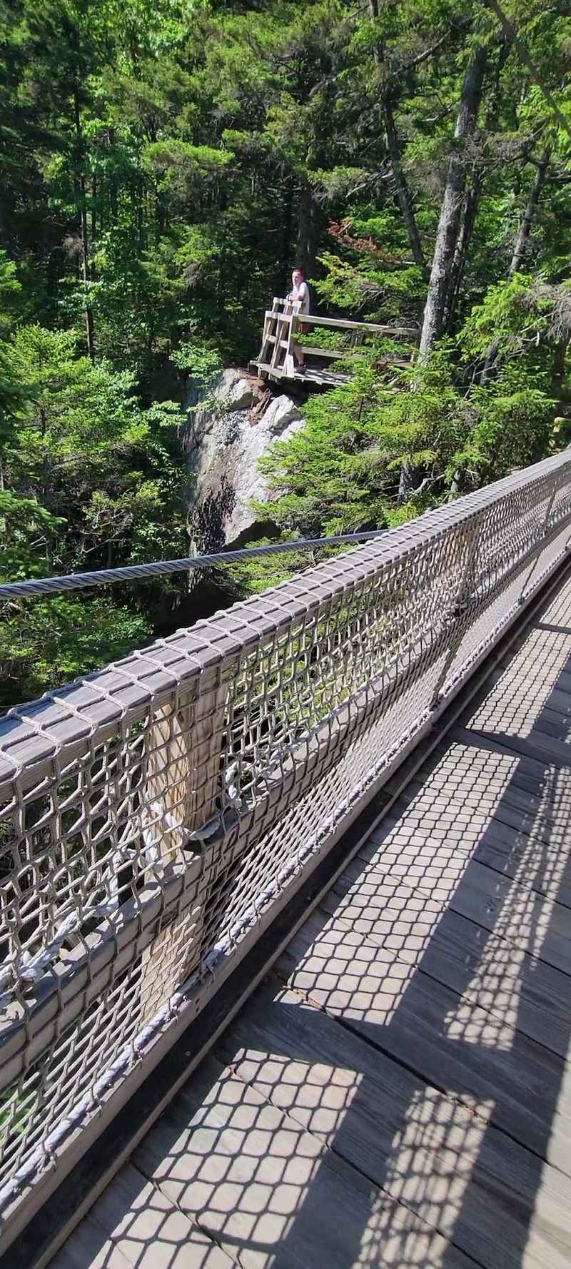 The Suspension Bridge, Covered Bridge, and Treehouses Along the Trail The Suspension Bridge, Covered Bridge, and Treehouses Along the Trail