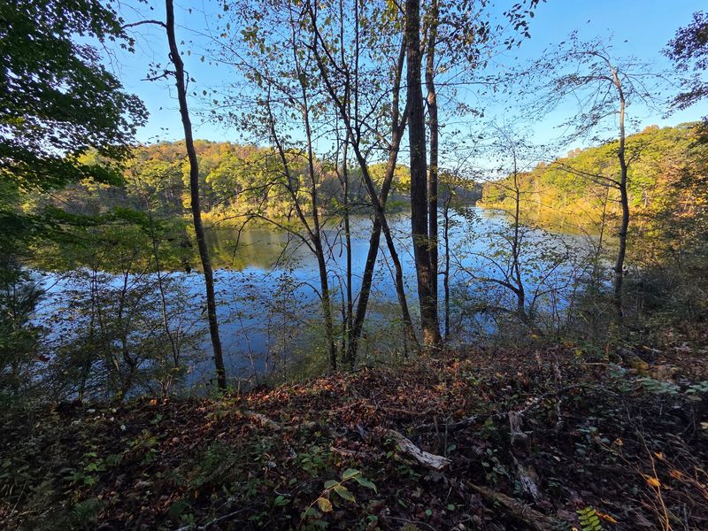 The Sweet Oil Lake's Hidden Past The Sweet Oil Lake's Hidden Past
