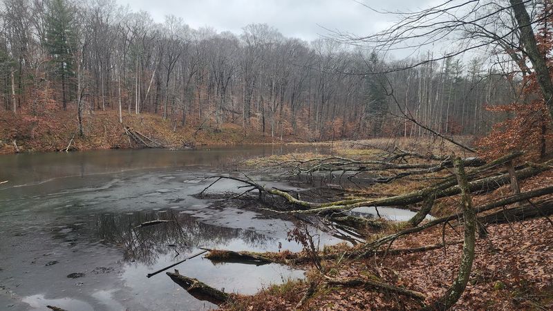 The Third Lake That Disappeared Decades Ago The Third Lake That Disappeared Decades Ago