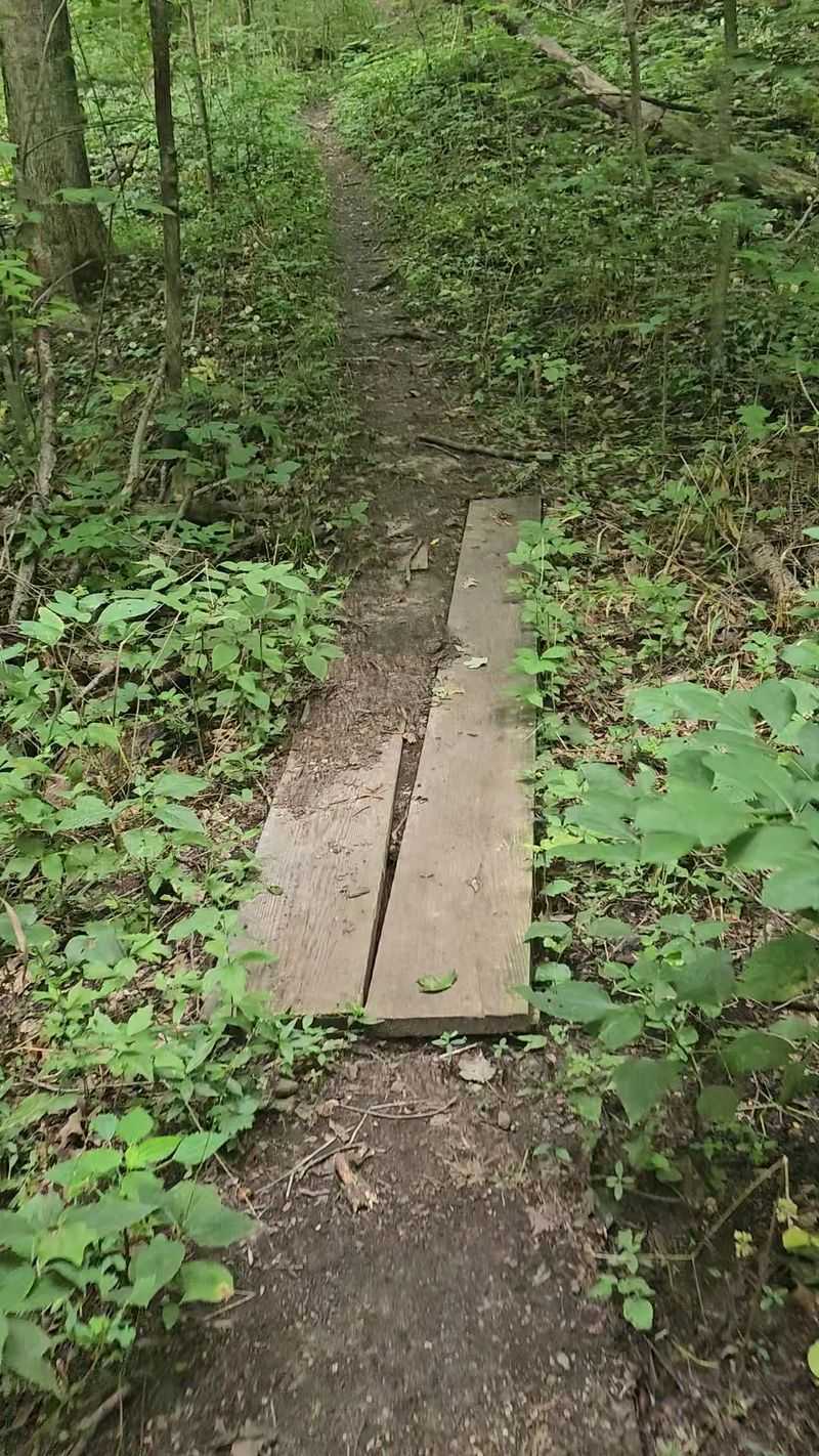 The Trail System Is Approachable but Never Boring The Trail System Is Approachable but Never Boring
