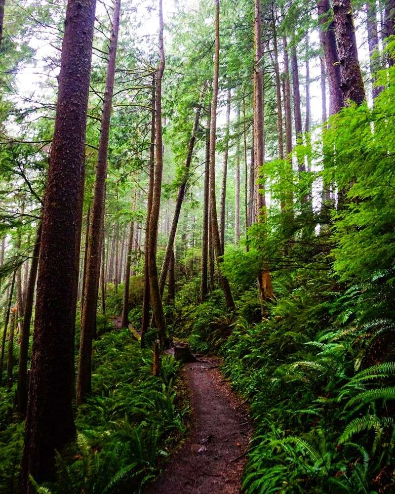 The Trail That Sets the Mood Before You Even See the Beach