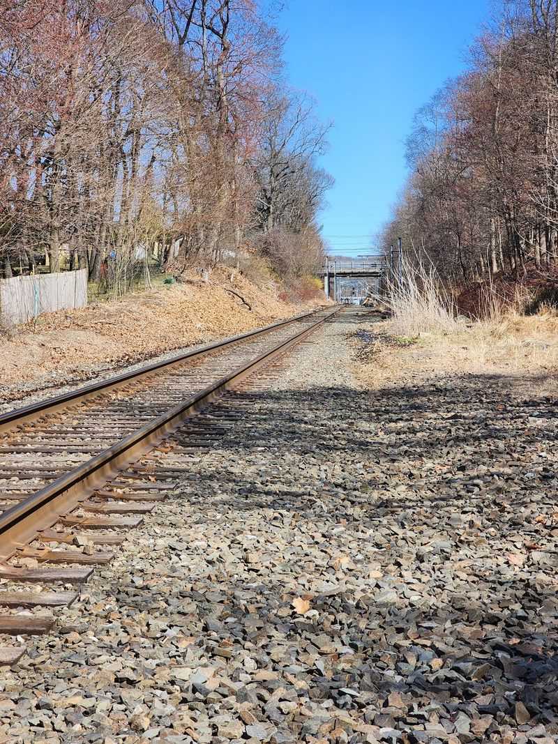 The Trestle Steals The Show