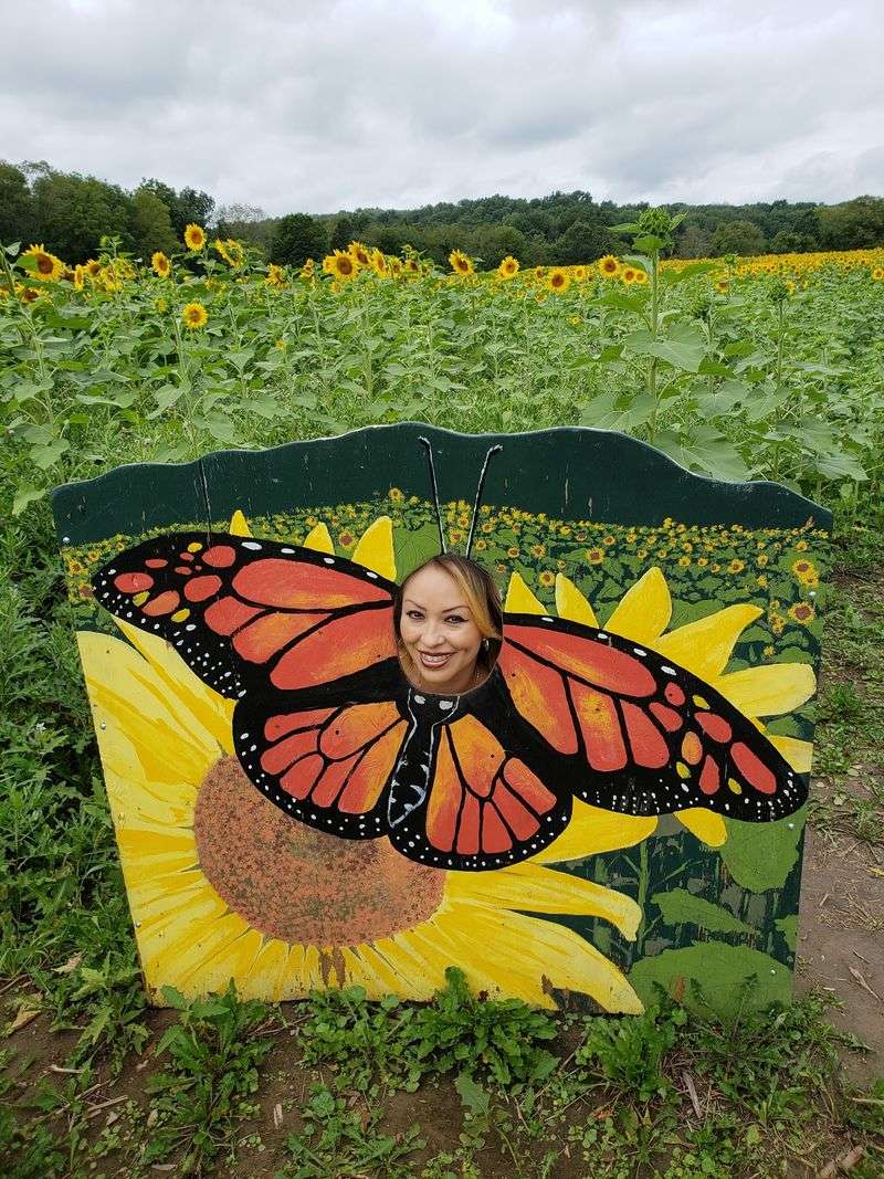 The Ultimate Selfie Spot in Sussex County