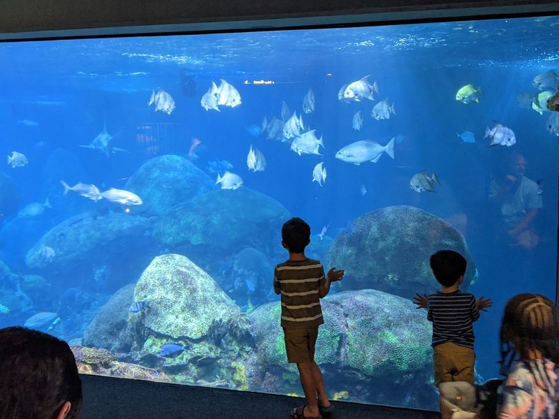 The Undersea Cavern, Where the Ceiling Turns Into the Sea The Undersea Cavern, Where the Ceiling Turns Into the Sea