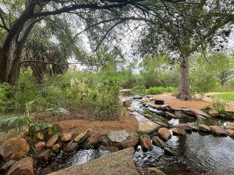 The Wetland Ponds and Water Features That Anchor the Whole Experience The Wetland Ponds and Water Features That Anchor the Whole Experience