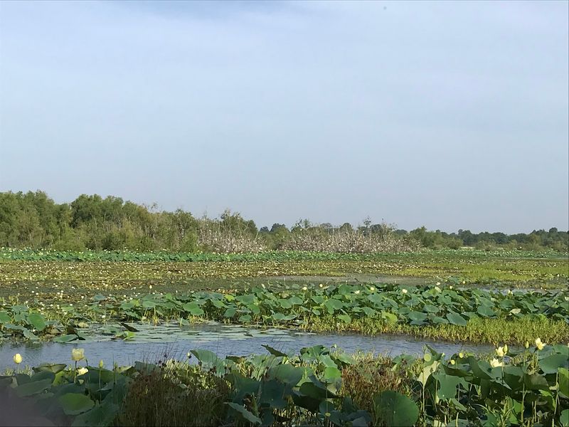 The Wetland That Feels Like The Gulf Coast Wandered North