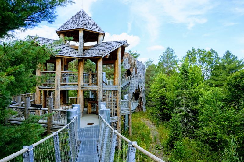 The Wild Center, Treetop Bridges in the Adirondacks