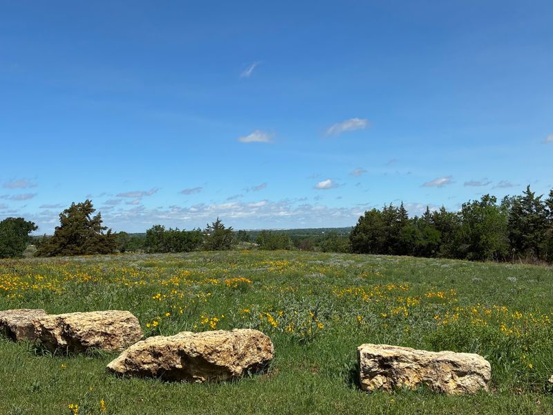 The Wild Heart of Fort Worth, A Stone's Throw Away
