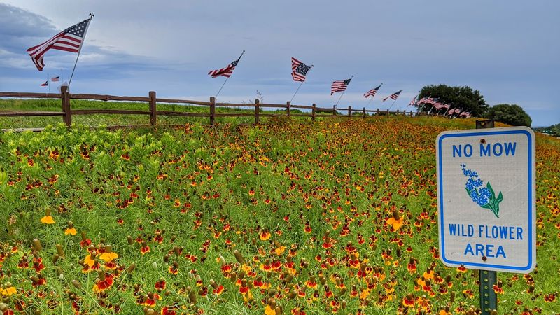 The Wildflower-Covered Mound That Gave the Town Its Name
