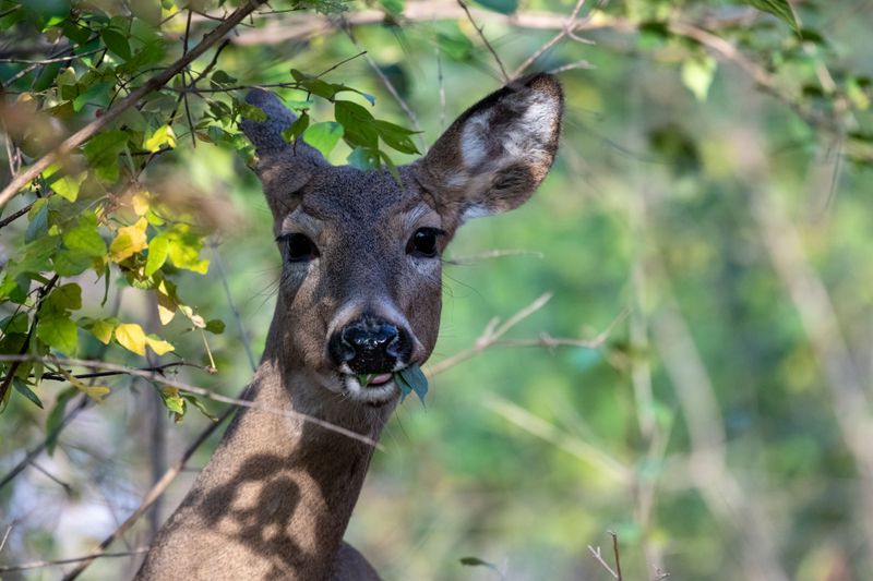 The Wildlife Here Will Genuinely Surprise You The Wildlife Here Will Genuinely Surprise You