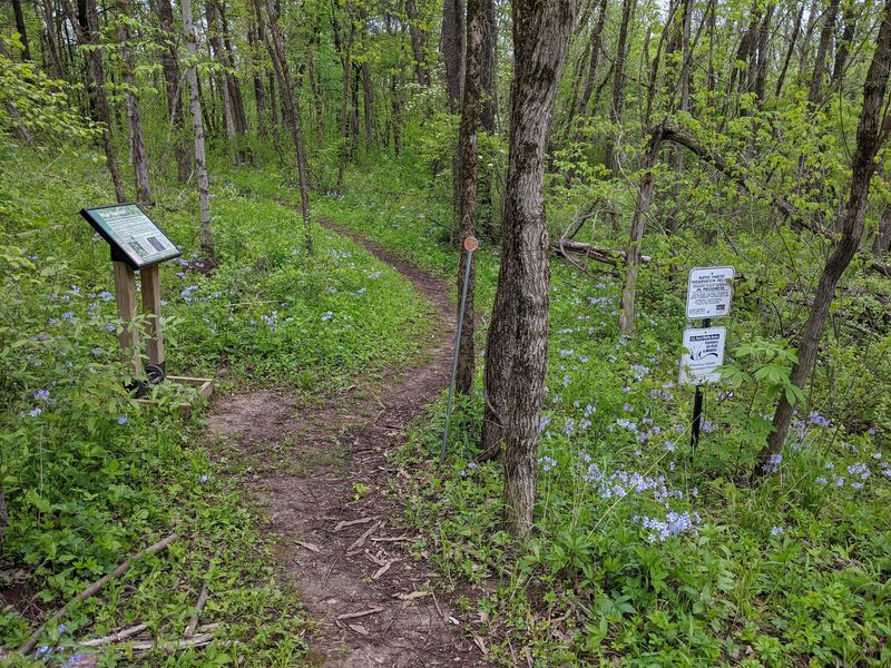 Thirteen Acres Packed With Surprising Plant Variety Thirteen Acres Packed With Surprising Plant Variety
