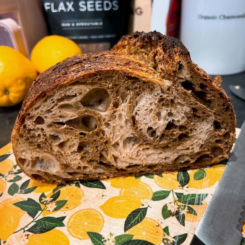 Thirty-Six Hours Of Fermentation, Start To Finish