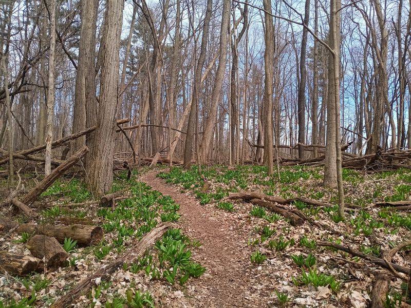 This Hidden Gem in Amish Country Deserves a Spot on Your List This Hidden Gem in Amish Country Deserves a Spot on Your List
