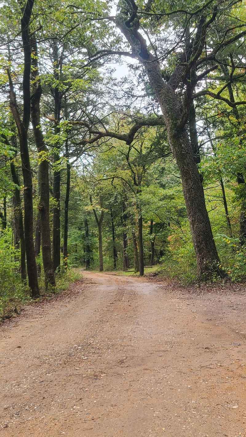 Thousands Of Acres To Wander Through Thousands Of Acres To Wander Through
