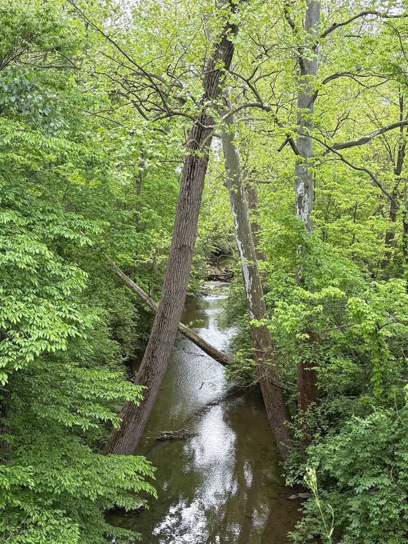 Three Miles Of Trail And Two Big Lakes Close By Three Miles Of Trail And Two Big Lakes Close By