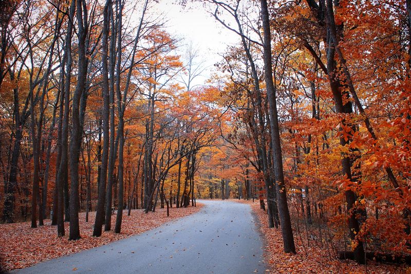 Through the Heart of Hoosier Hills on State Road 135 Through the Heart of Hoosier Hills on State Road 135