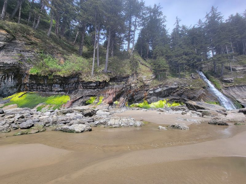Tide Pools and Geology Worth Getting Your Feet Wet For