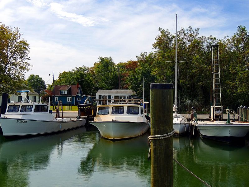 Tilghman Island