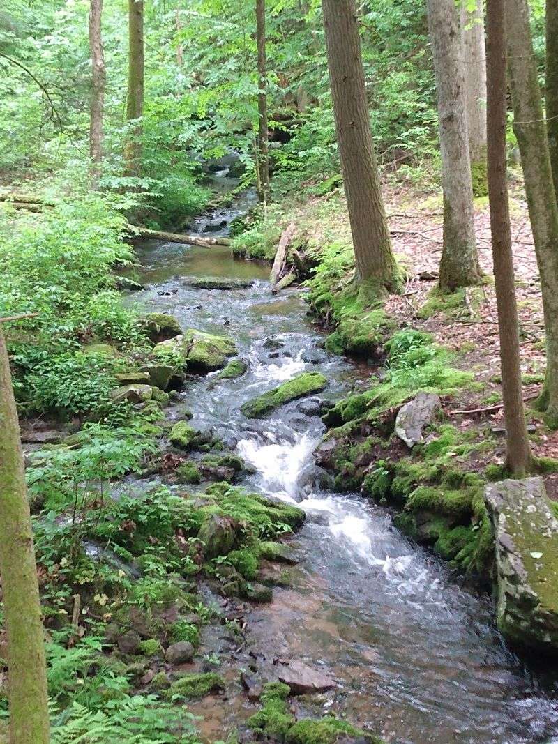 Tillman Ravine Trail Tillman Ravine Trail