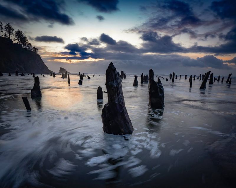 Timing Everything Around the Tide Table Timing Everything Around the Tide Table