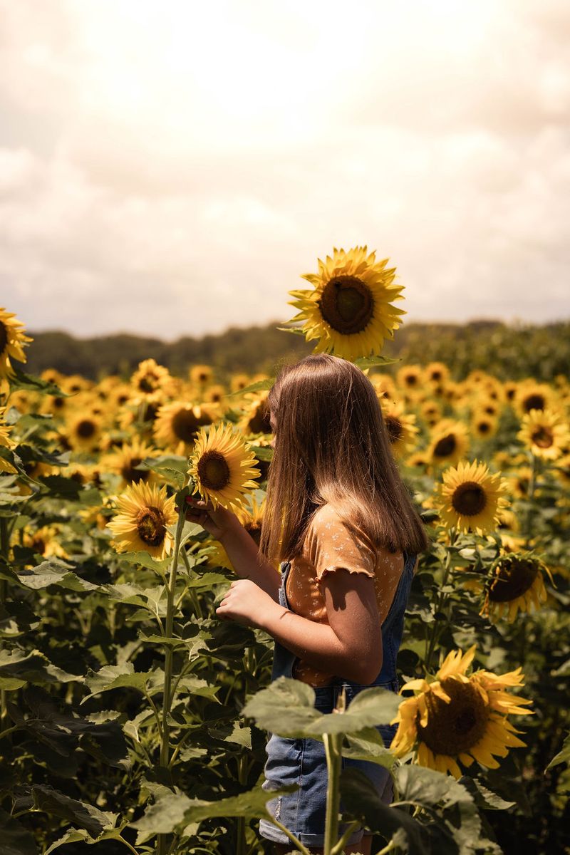 Timing Your Visit For Peak Bloom