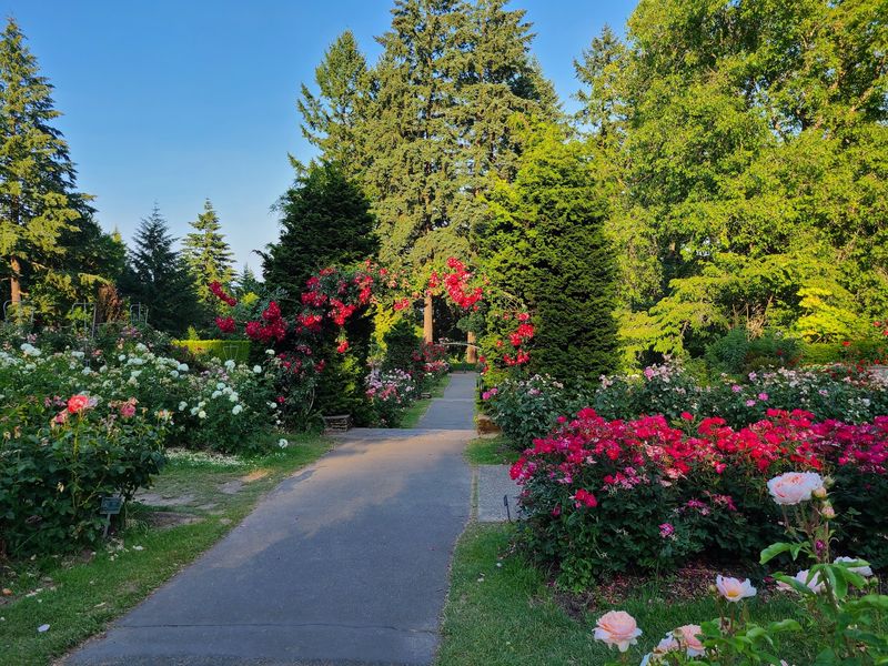 Timing the Bloom Without Guesswork